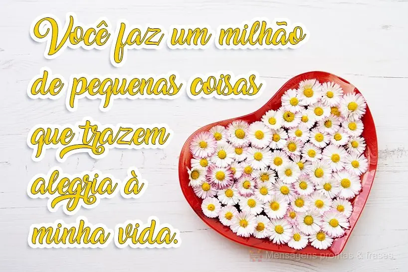 Você faz um milhão de pequenas coisas que trazem alegria à minha vida.
