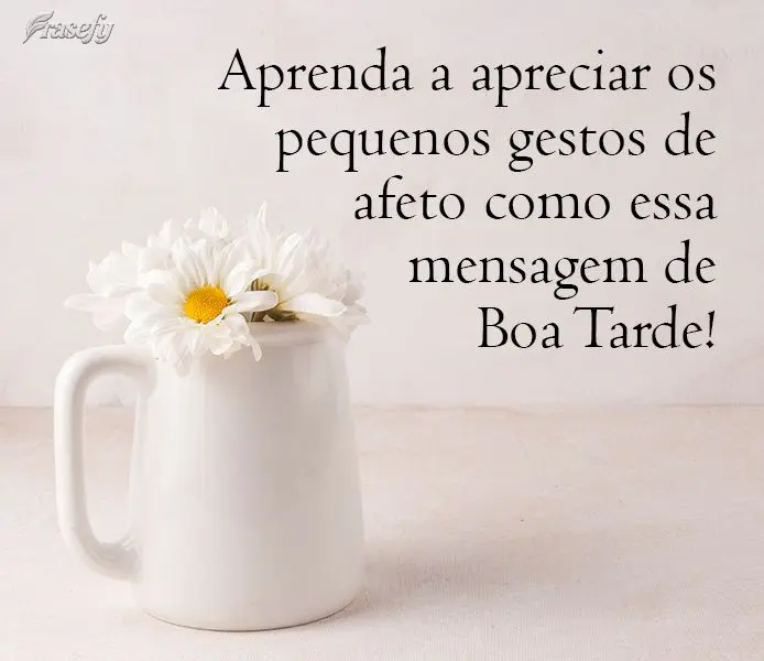 Aprenda a apreciar os pequenos gestos de afeto como essa mensagem de Boa Tarde!
