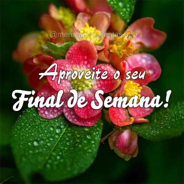 Aproveite o seu Final de Semana!