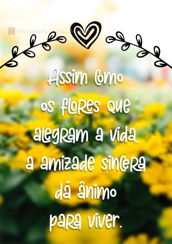 Assim como as flores que alegram a vida, a amizade sincera dá ânimo para viver.
