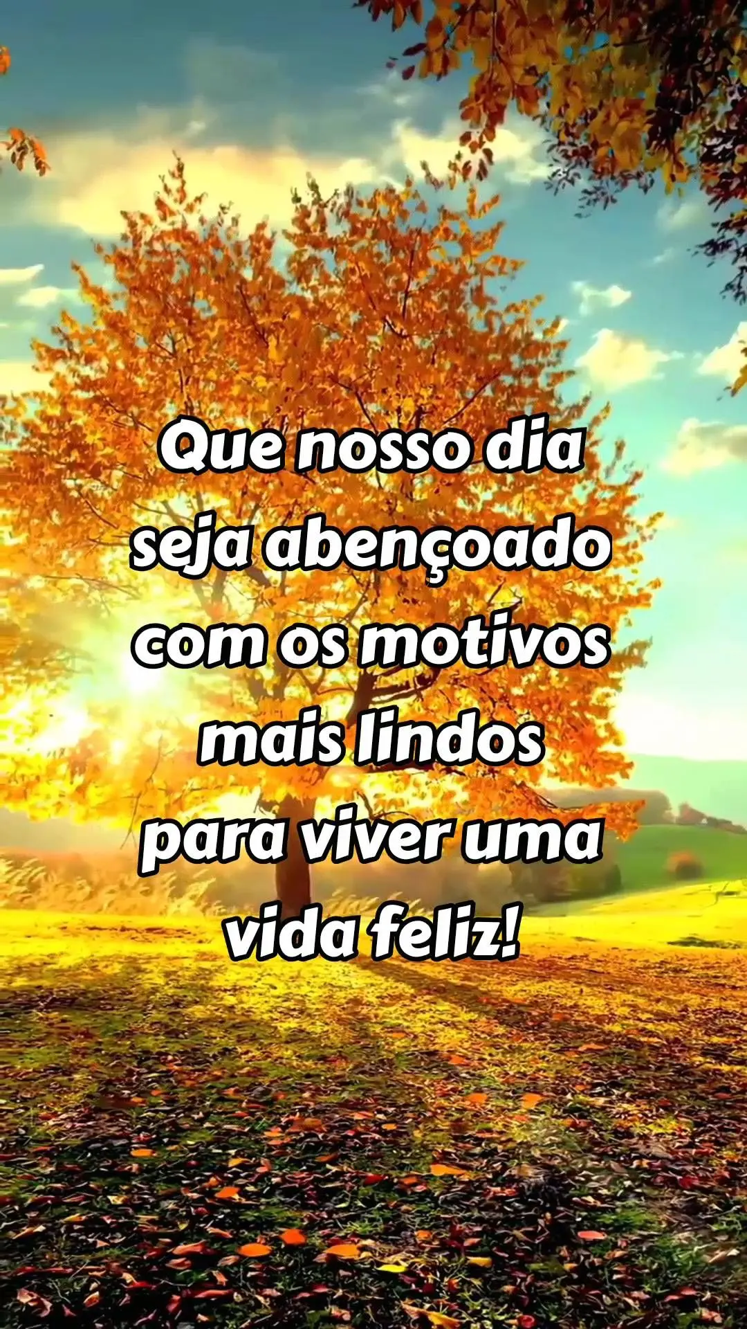  Que nosso dia seja abençoado com os motivos mais lindos para viver uma vida feliz!