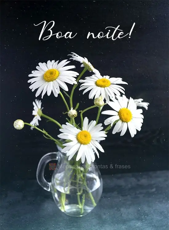 Boa noite!
