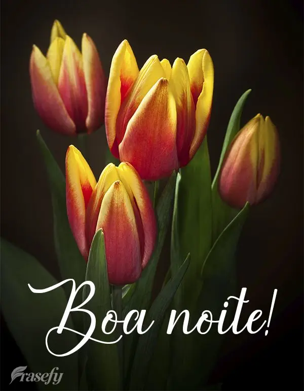 Boa noite!