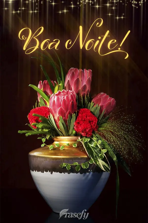 Boa noite!