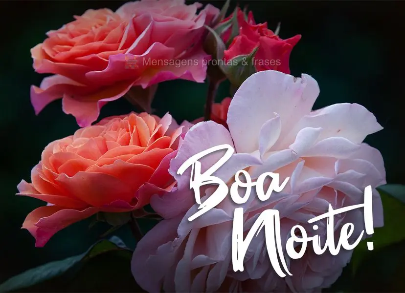 Boa noite!