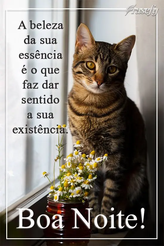 A beleza da sua essência é o que faz dar sentido a sua existência. 
 Boa Noite!
