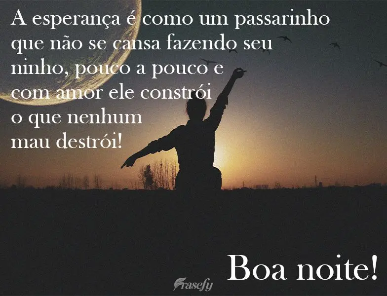 A esperança é como um passarinho que não se cansa fazendo seu ninho. Pouco a pouco e com amor ele constrói o que nenhum mau destrói! 
 Boa noite!...