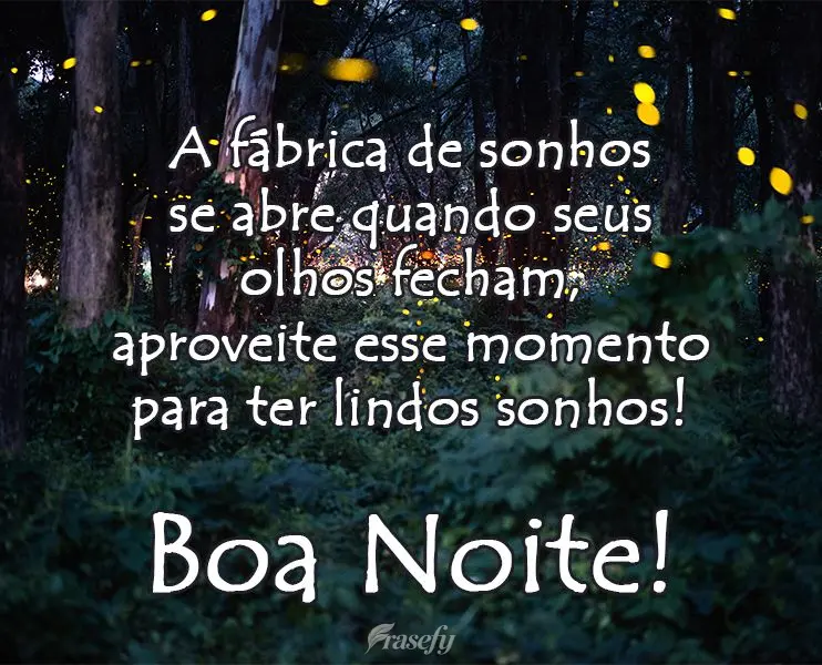 A fábrica de sonhos se abre quando seus olhos fecham, aproveite esse momento para ter lindos sonhos! 
 Boa Noite!