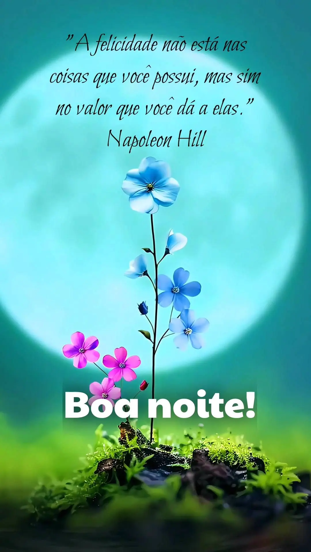"A felicidade não está nas coisas que você possui, mas sim no valor que você dá a elas." 
             Napoleon Hill  Boa noite!