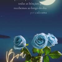 A noite é o momento perfeito para refletir sobre todas as bênçãos que recebemos ao longo do dia. Agradeça por cada uma delas e durma em paz, sabendo...