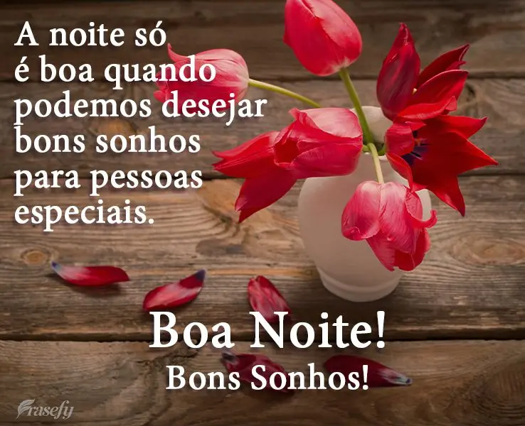 A noite só é boa quando podemos desejar bons sonhos para pessoas especiais. 
 Boa Noite! Bons Sonhos!