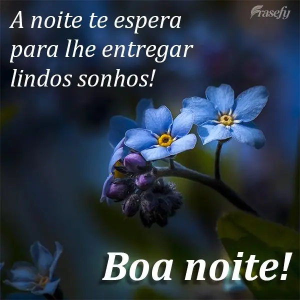A noite te espera para lhe entregar lindos sonhos!  Boa noite!