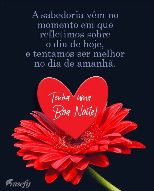 A sabedoria vem no momento em que refletimos sobre o dia de hoje, e tentamos ser melhor no dia de amanhã.  Tenha uma Boa Noite!