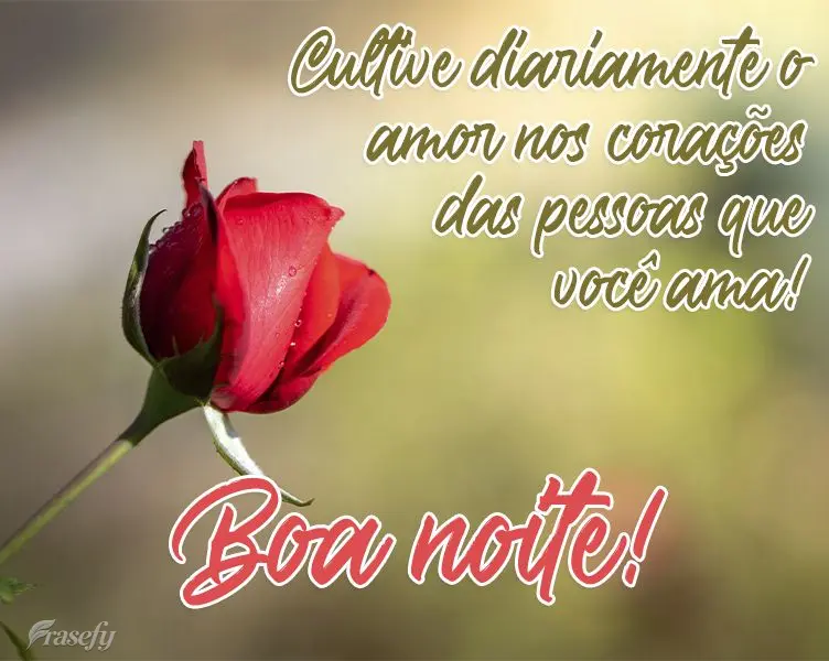Cultive diariamente o amor nos corações das pessoas que você ama! 
 Boa noite!