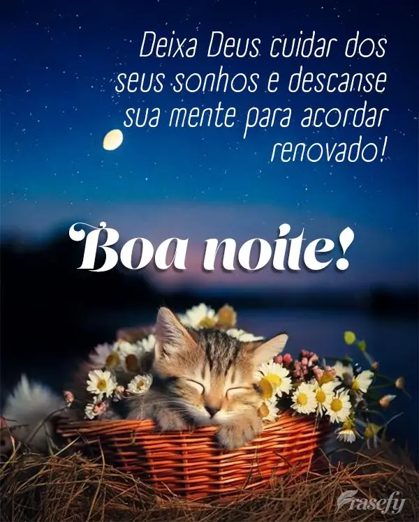 Deixa Deus cuidar dos seus sonhos e descanse sua mente para acordar renovado!  Boa noite!