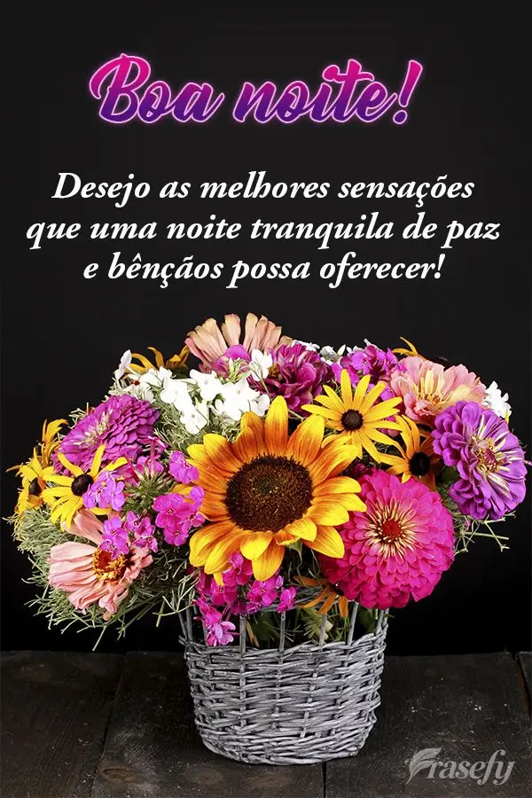 Desejo as melhores sensações que uma noite tranquila de paz e bênçãos possa oferecer! Boa noite!