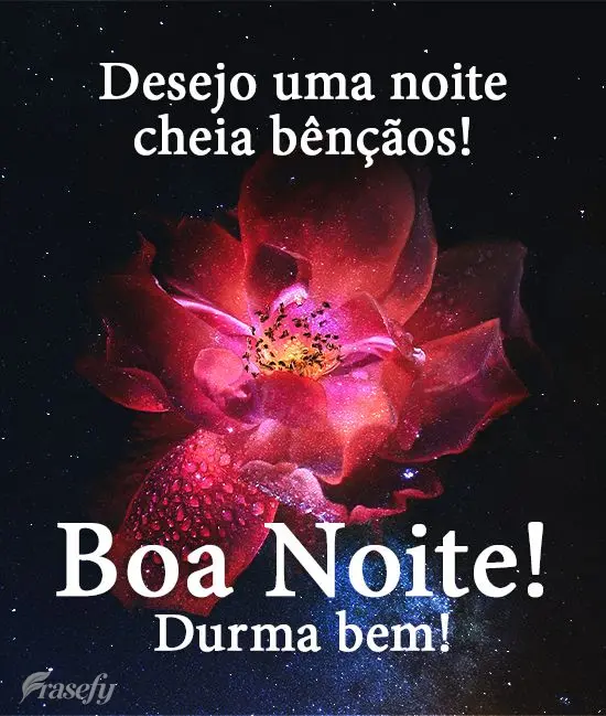Desejo uma noite cheia de bênçãos!  Boa Noite! Durma bem! 