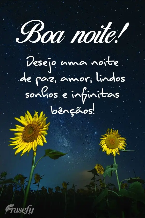 Desejo uma noite de paz, amor, lindos sonhos e infinitas bênçãos! Boa noite! 