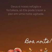 Deus é nosso refúgio e fortaleza, só Ele pode trazer a paz em uma noite agitada. Boa noite!