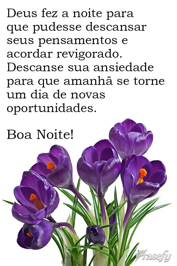 Deus fez a noite para que pudesse descansar seus pensamentos e acordar revigorado. Descanse sua ansiedade para que amanhã  se torne um dia de novas opor...