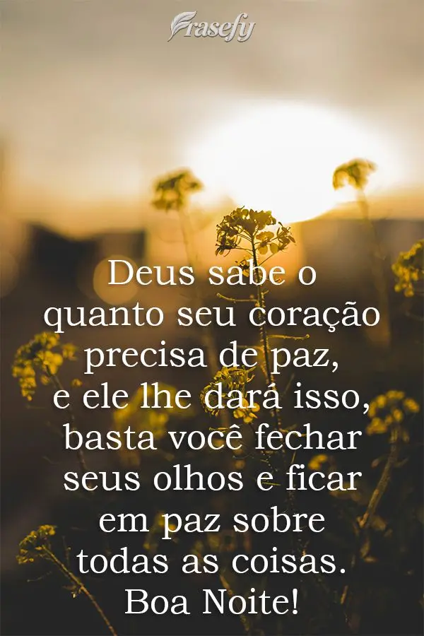 Deus sabe o quanto seu coração precisa de paz, e ele lhe dará isso, basta você fechar seus olhos e ficar em paz sobre todas as coisas. 
 Boa Noite!...
