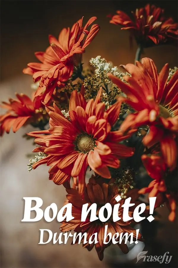 Boa noite! Durma bem!