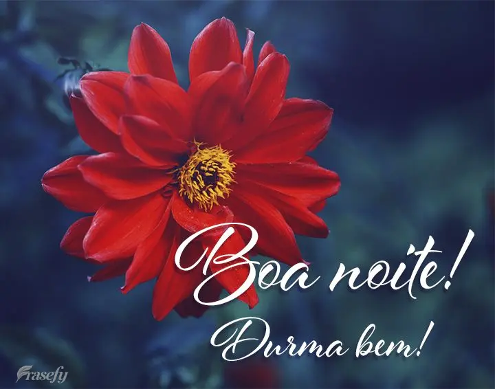 Boa noite! Durma bem!