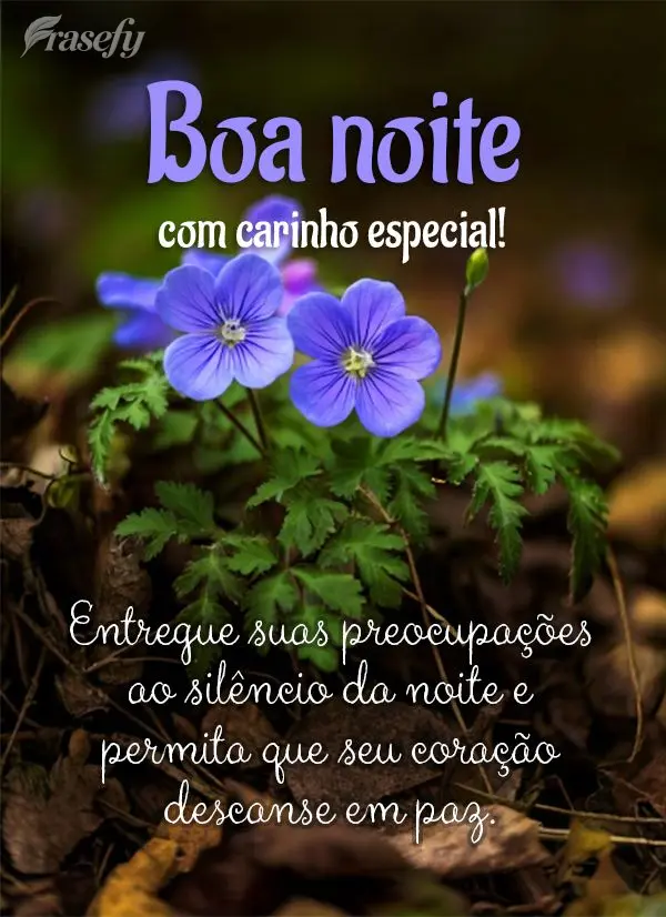 Entregue suas preocupações ao silêncio da noite e permita que seu coração descanse em paz. Boa noite!