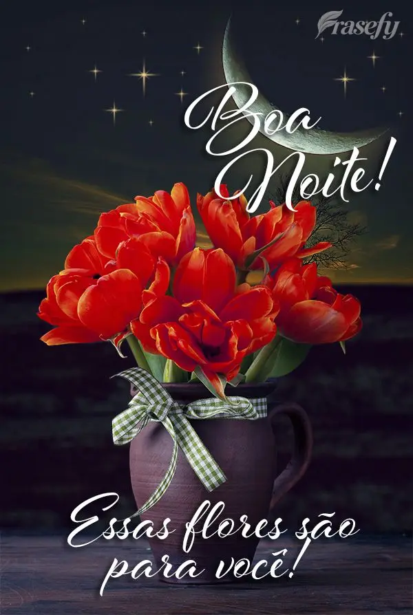Essas flores são para você! Boa noite! 