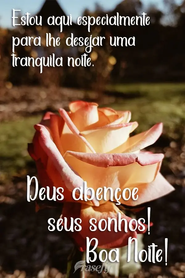 Estou aqui especialmente para lhe desejar uma tranquila noite. Deus abençoe seus sonhos! 
 Boa Noite!