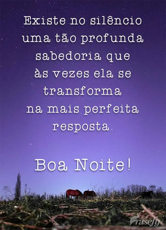 Existe no silêncio uma tão profunda sabedoria que às vezes ela se transforma na mais perfeita resposta. 
 Boa Noite!