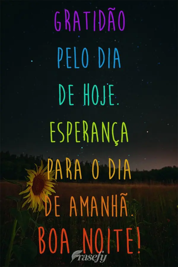 Gratidão pelo dia de hoje. Esperança para o dia de amanhã. Boa Noite!