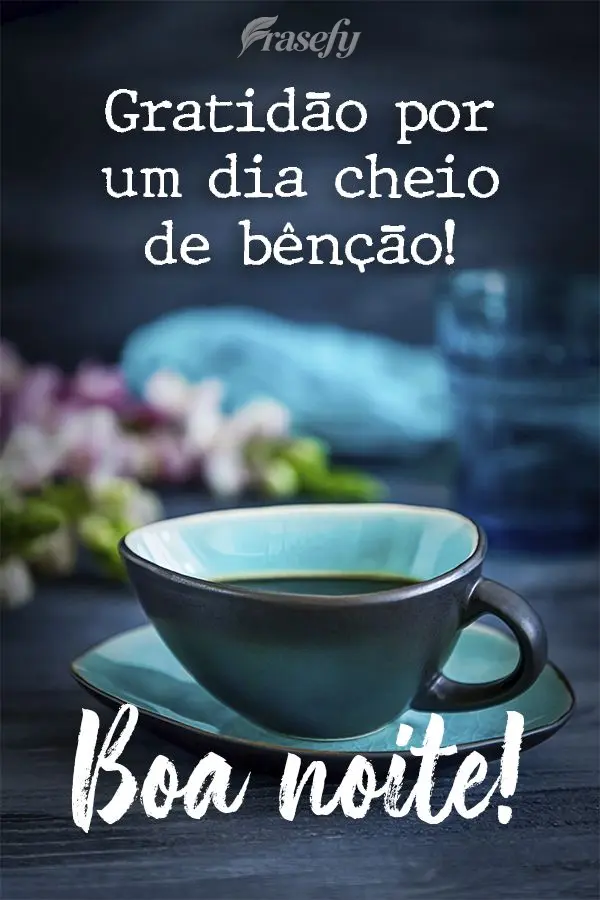 Gratidão por um dia cheio de bênção! Boa noite! 