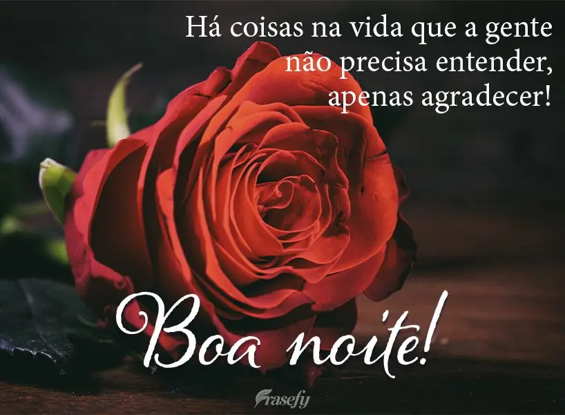 Há coisas na vida que a gente não precisa entender, apenas agradecer! Boa noite!