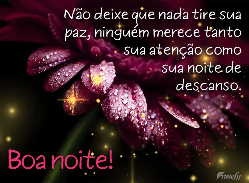 Não deixe que nada tire sua paz. Ninguém merece tanto sua atenção como sua noite de descanso. Boa noite!