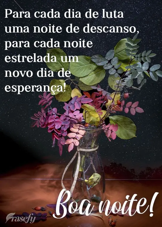 Para cada dia de luta uma noite de descanso; para cada noite estrelada um novo dia de esperança! 
 Boa noite!