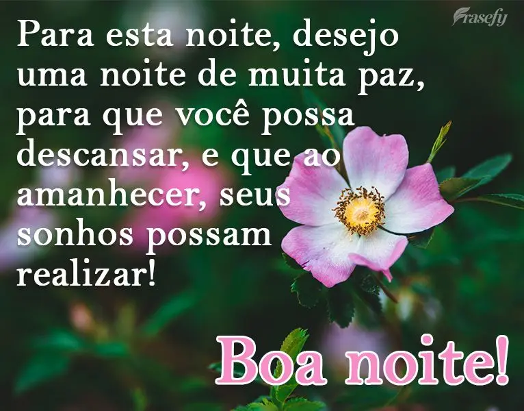 Para esta noite desejo uma noite de muita paz, para que você possa descansar. E que ao amanhecer, seus sonhos possam se realizar! 
 Boa noite!