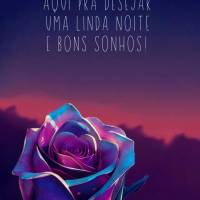 Passando aqui pra desejar uma linda noite e bons sonhos! Boa noite!