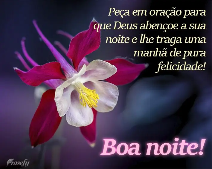 Peça em oração para que Deus abençoe a sua noite e lhe traga uma manhã de pura felicidade! Boa noite!