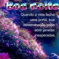 Quando a vida fecha uma porta, sua determinação pode abrir janelas inesperadas. Boa noite!