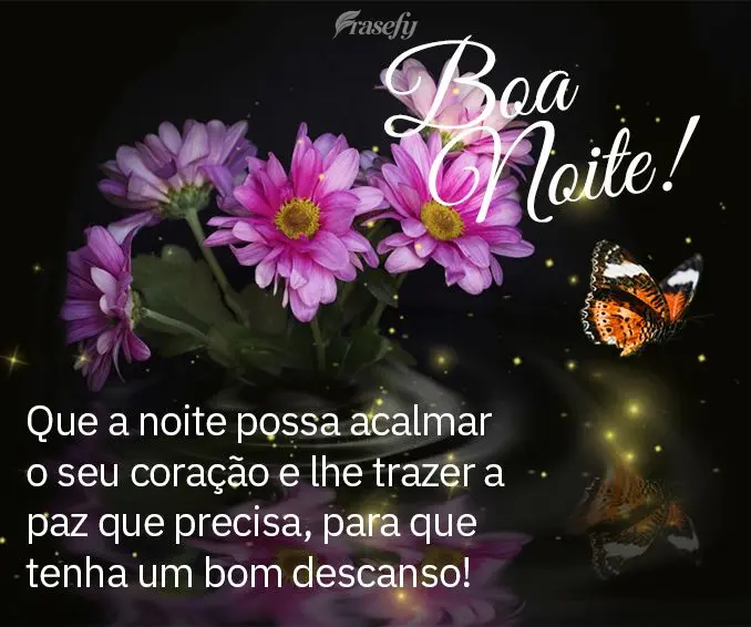 Que a noite possa acalmar o seu coração e lhe trazer a paz que precisa para que tenha um bom descanso! Boa noite!
