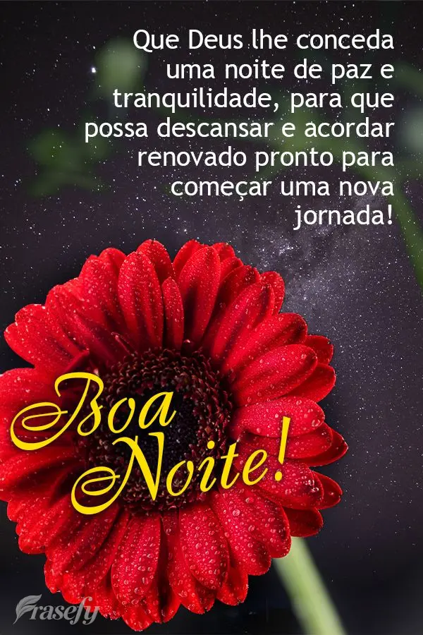 Que Deus lhe conceda uma noite de paz e tranquilidade, para que possa descansar e acordar renovado pronto para começar uma nova jornada! Boa noite!