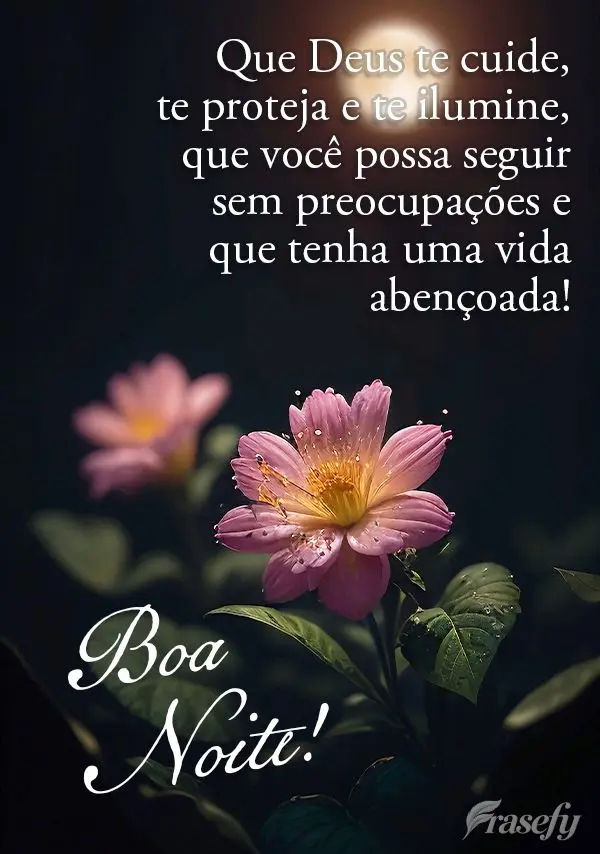 Que Deus te cuide, te proteja e te ilumine, que você possa seguir sem preocupações e que tenha uma vida abençoada!  Boa noite!