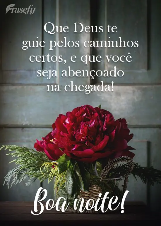 Que Deus te guie pelos caminhos certos e que você seja abençoado na chegada!  Boa noite!
