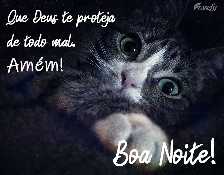 Que Deus te proteja de todo mal. Amém!
 Boa Noite!