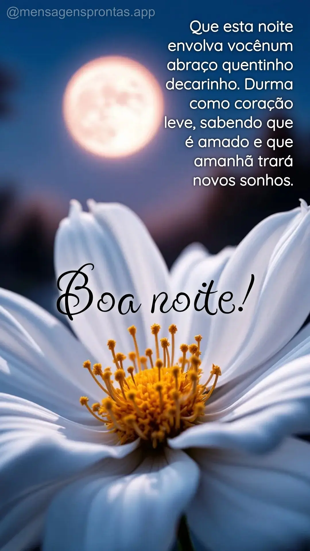 Que esta noite envolva vocênum abraço quentinho 
decarinho. Durma 
como coração 
leve, sabendo que 
é amado e que 
amanhã trará 
novos sonho...