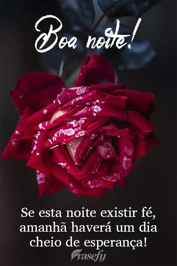 Que nesta noite você viva lindos sonhos!  Boa noite!