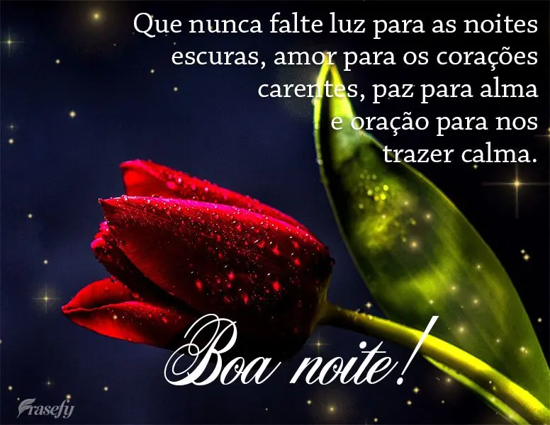 Que nunca falte luz para as noites escuras, amor para os corações carentes, paz para alma e oração para nos trazer calma. Boa noite!