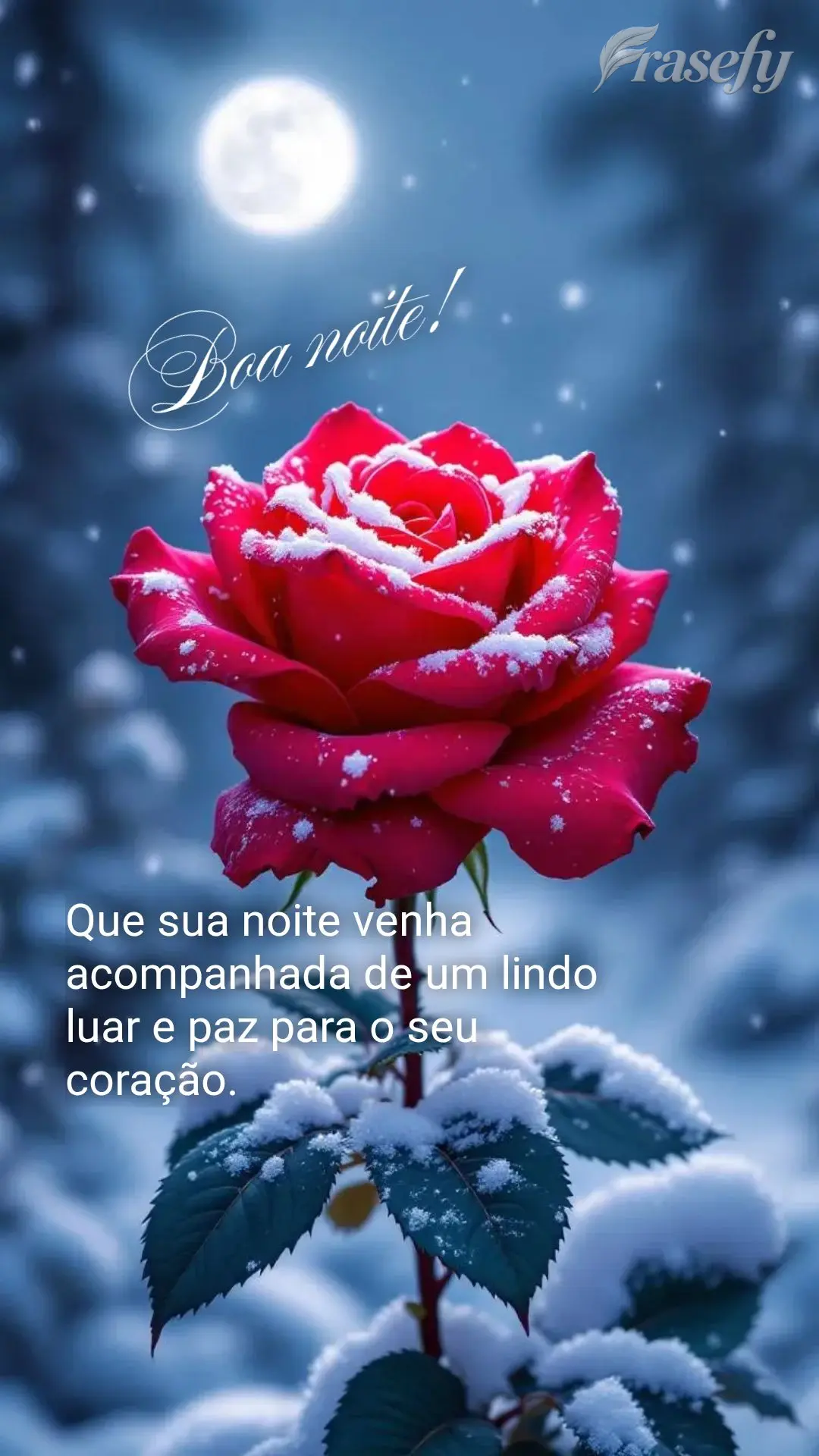 Que sua noite venha acompanhada de um lindo luar e paz para o seu coração. Boa noite!