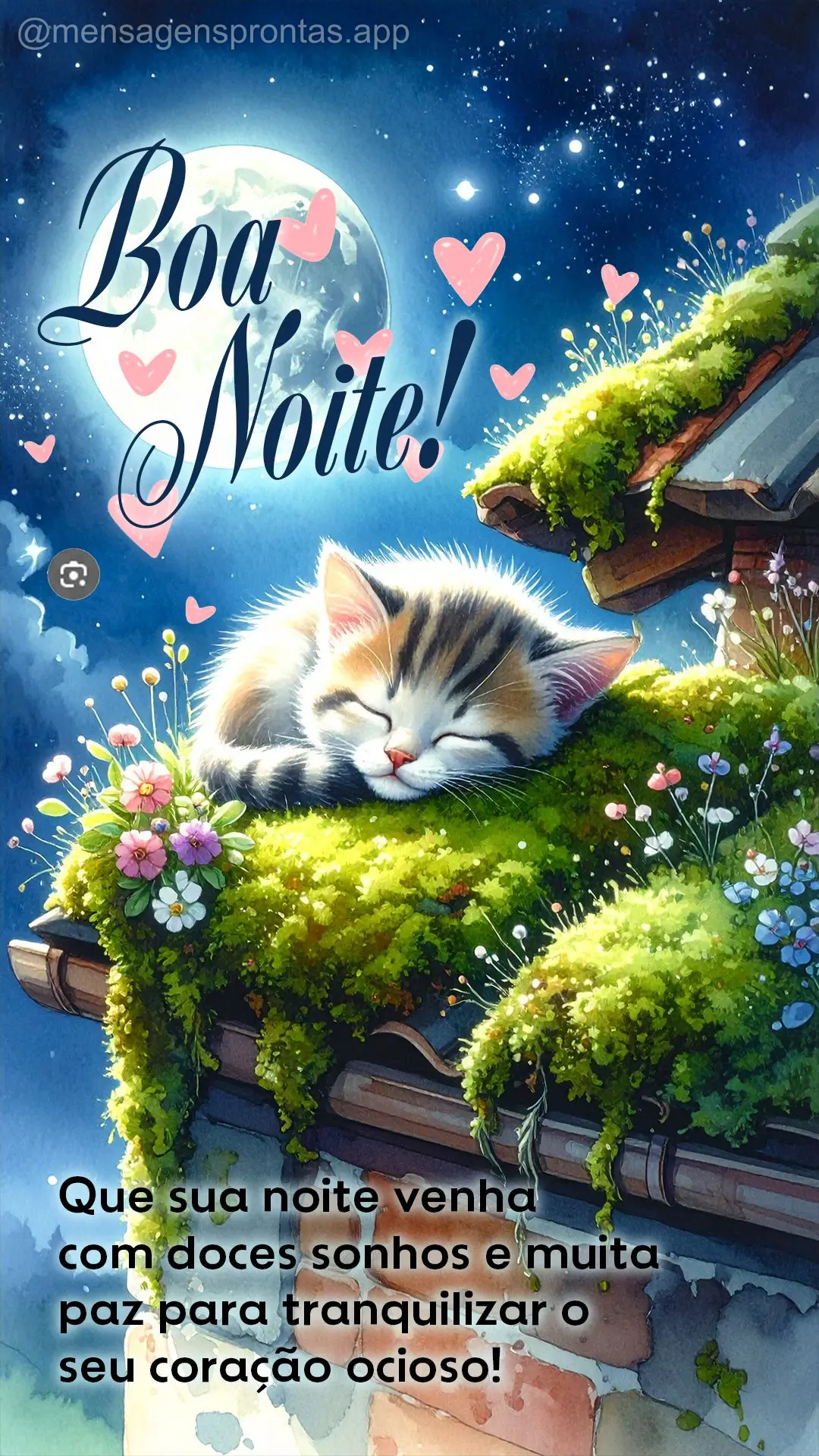 Que sua noite venha com doces sonhos e muita paz para tranquilizar o seu coração ocioso! Boa noite!